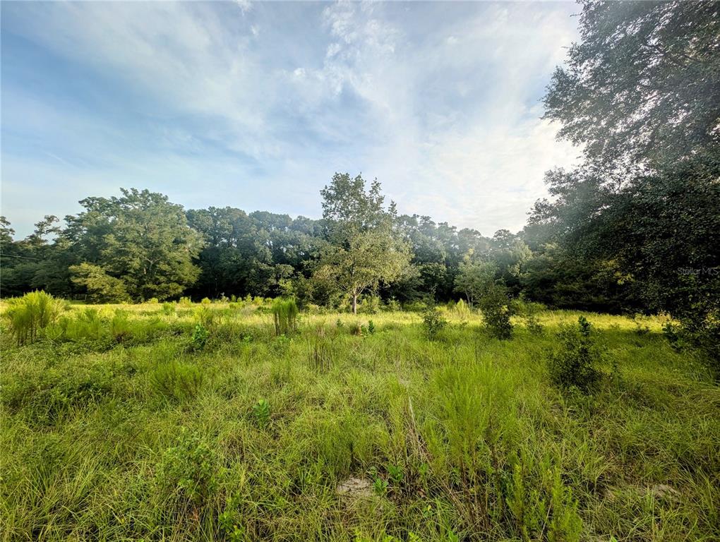 10316 Southwest 170th Street Archer, FL 32618 - Photo 2 of 9