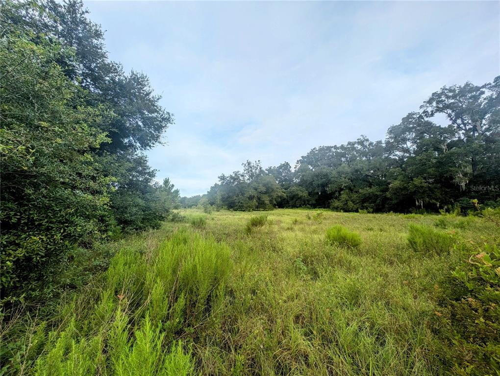 10316 Southwest 170th Street Archer, FL 32618 - Photo 3 of 9