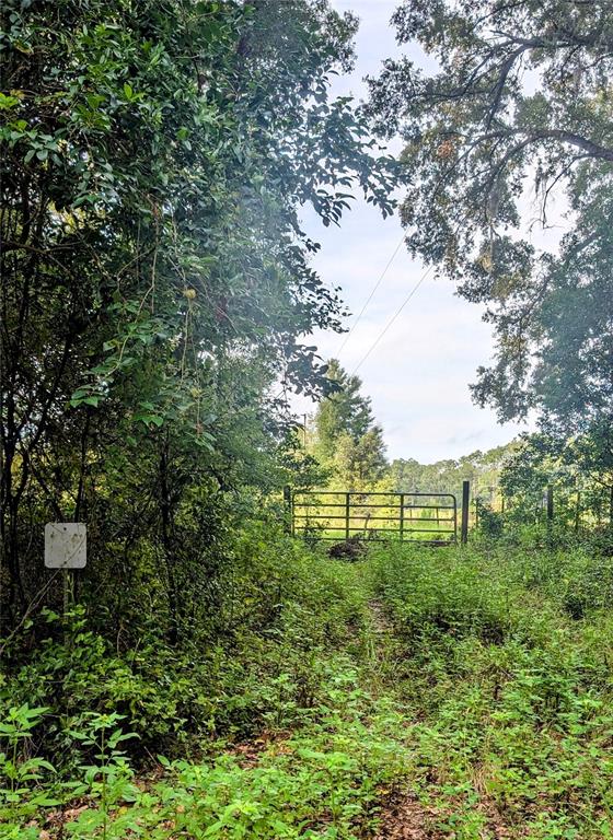 10316 Southwest 170th Street Archer, FL 32618 - Photo 4 of 9