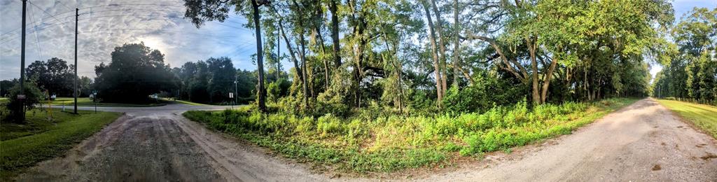 10316 Southwest 170th Street Archer, FL 32618 - Photo 7 of 9