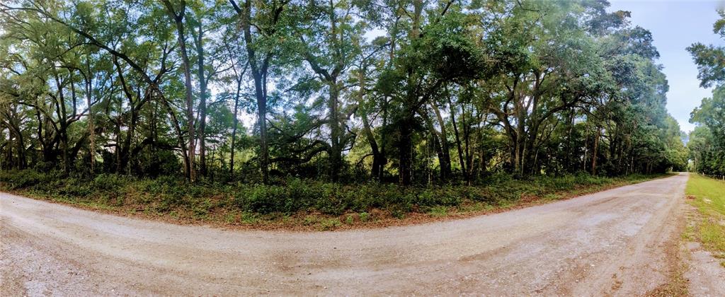 10316 Southwest 170th Street Archer, FL 32618 - Photo 8 of 9