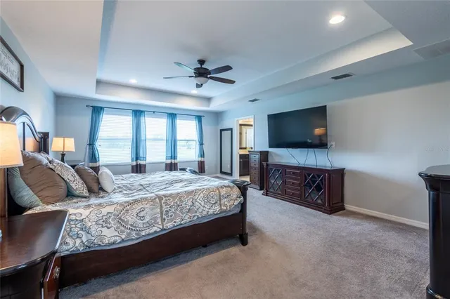 a view of a park with large trees