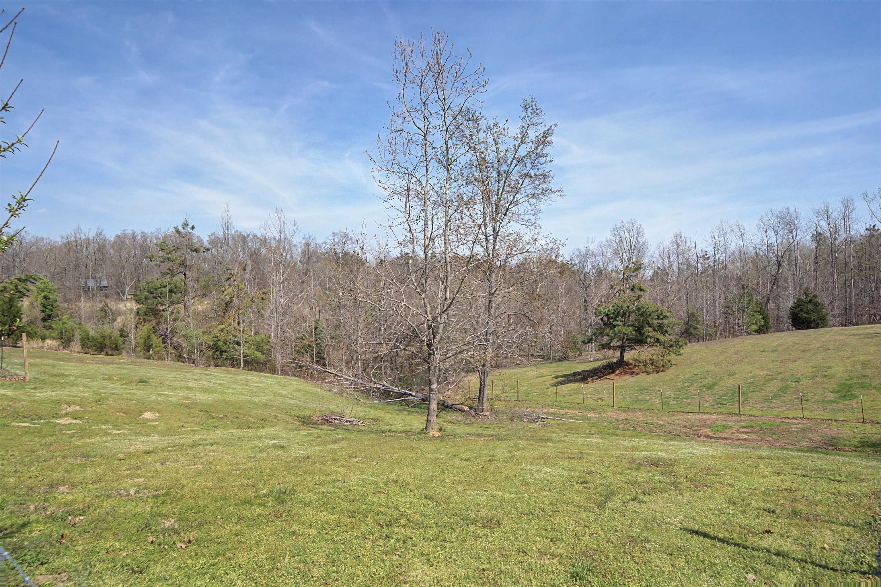 7010 22nd Highway Adamsville, TN 38310 - Photo 24 of 33 a view of a field with trees in the background