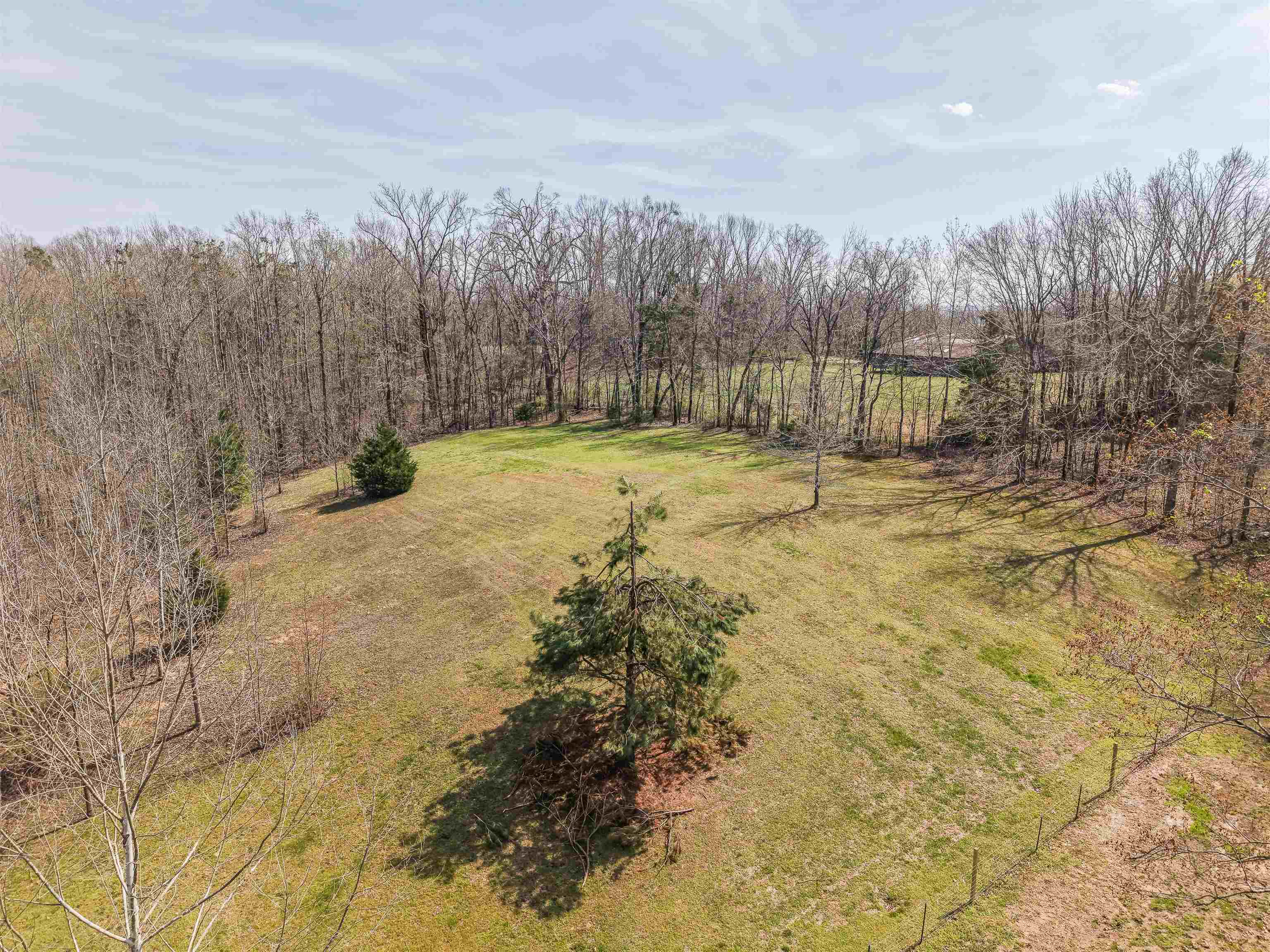7010 22nd Highway Adamsville, TN 38310 - Photo 28 of 33 a view of a yard with trees