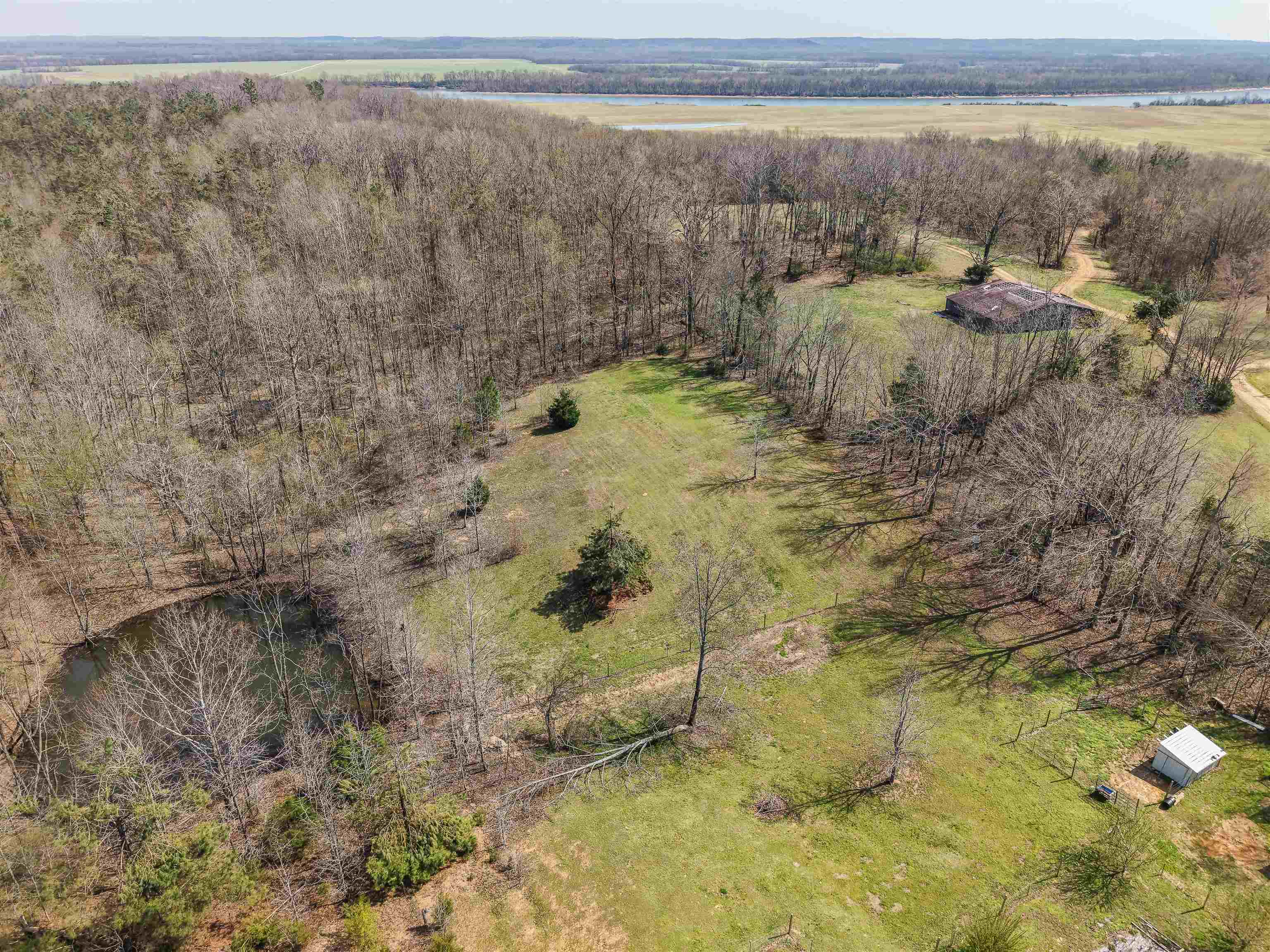 7010 22nd Highway Adamsville, TN 38310 - Photo 32 of 33 a view of a dry yard with wooden fence