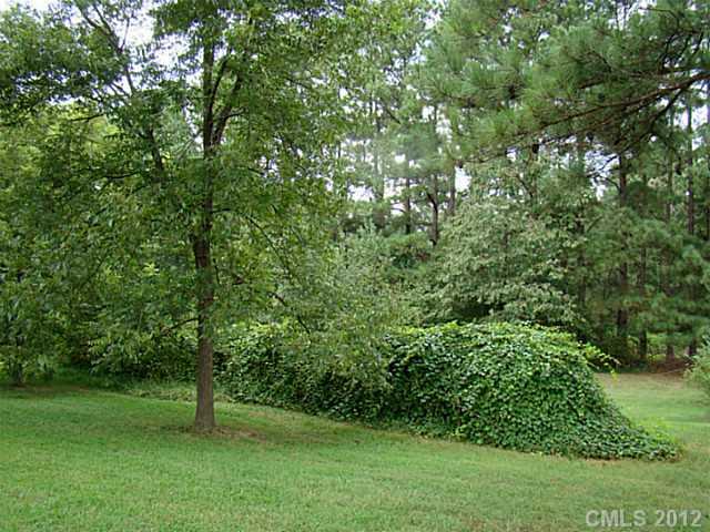 4340 Henry Dellinger Road Maiden, NC 28650 - Photo 15 of 15 Gallery Image 15