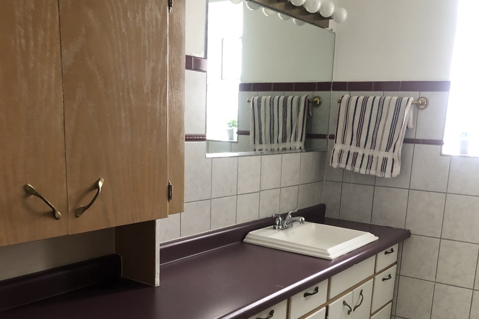 10733 South Harding Avenue Chicago, IL 60655 - Photo 7 of 20 a bathroom with a sink and a mirror