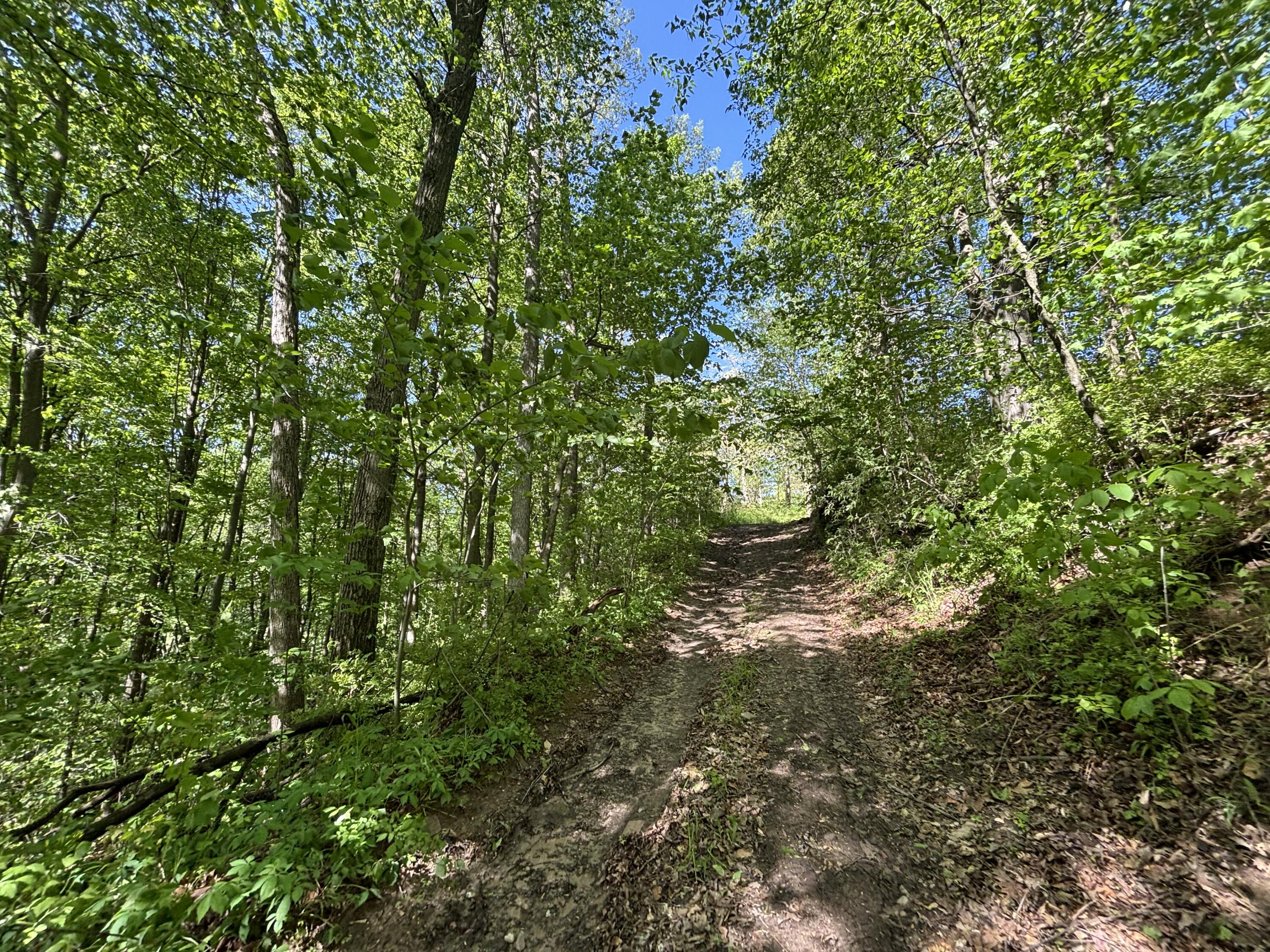 3396 Dagen Road Twin Lake, MI 49457 - Photo 38 of 56 TIMG_6977