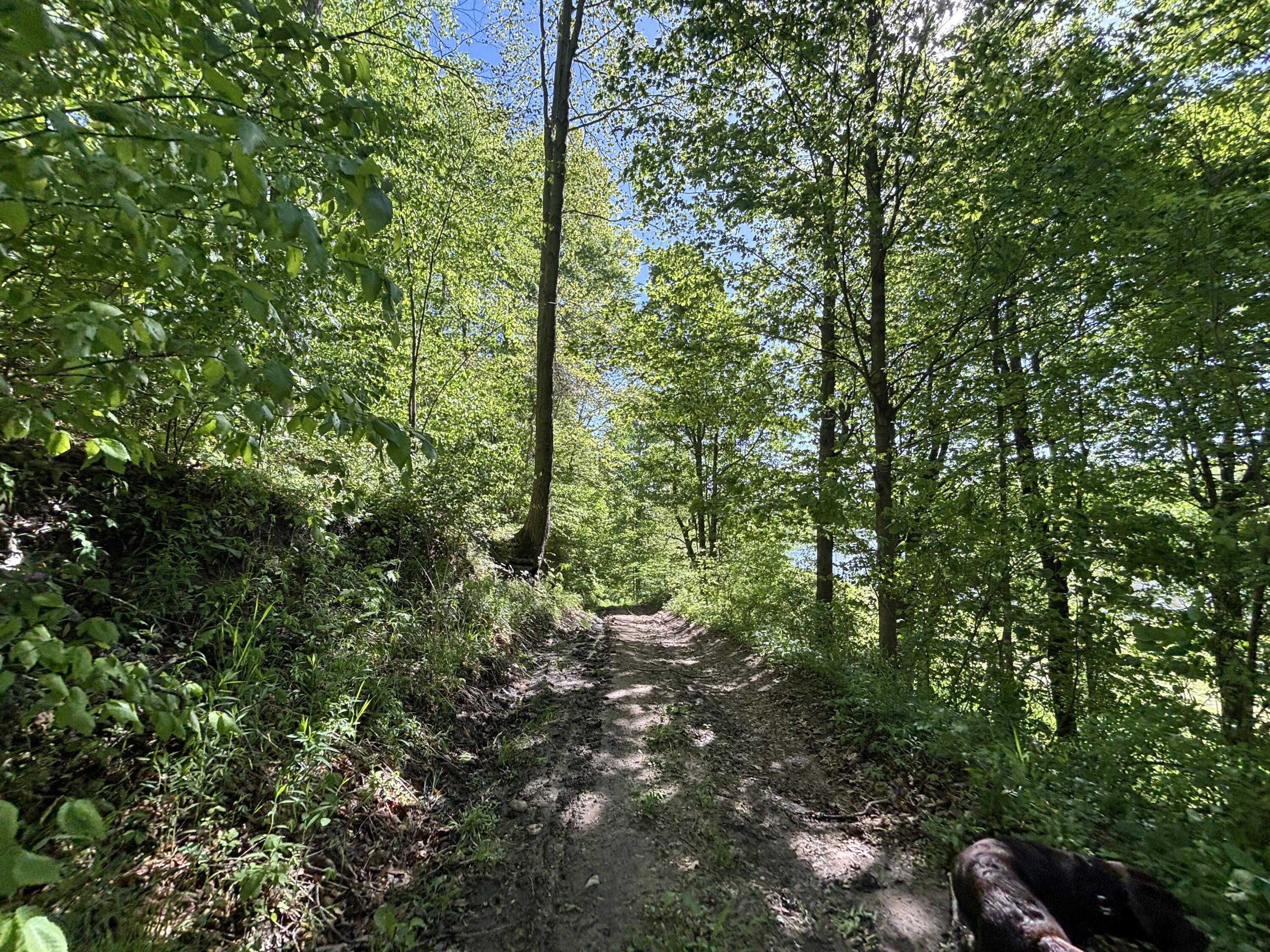 3396 Dagen Road Twin Lake, MI 49457 - Photo 40 of 56 TIMG_6982