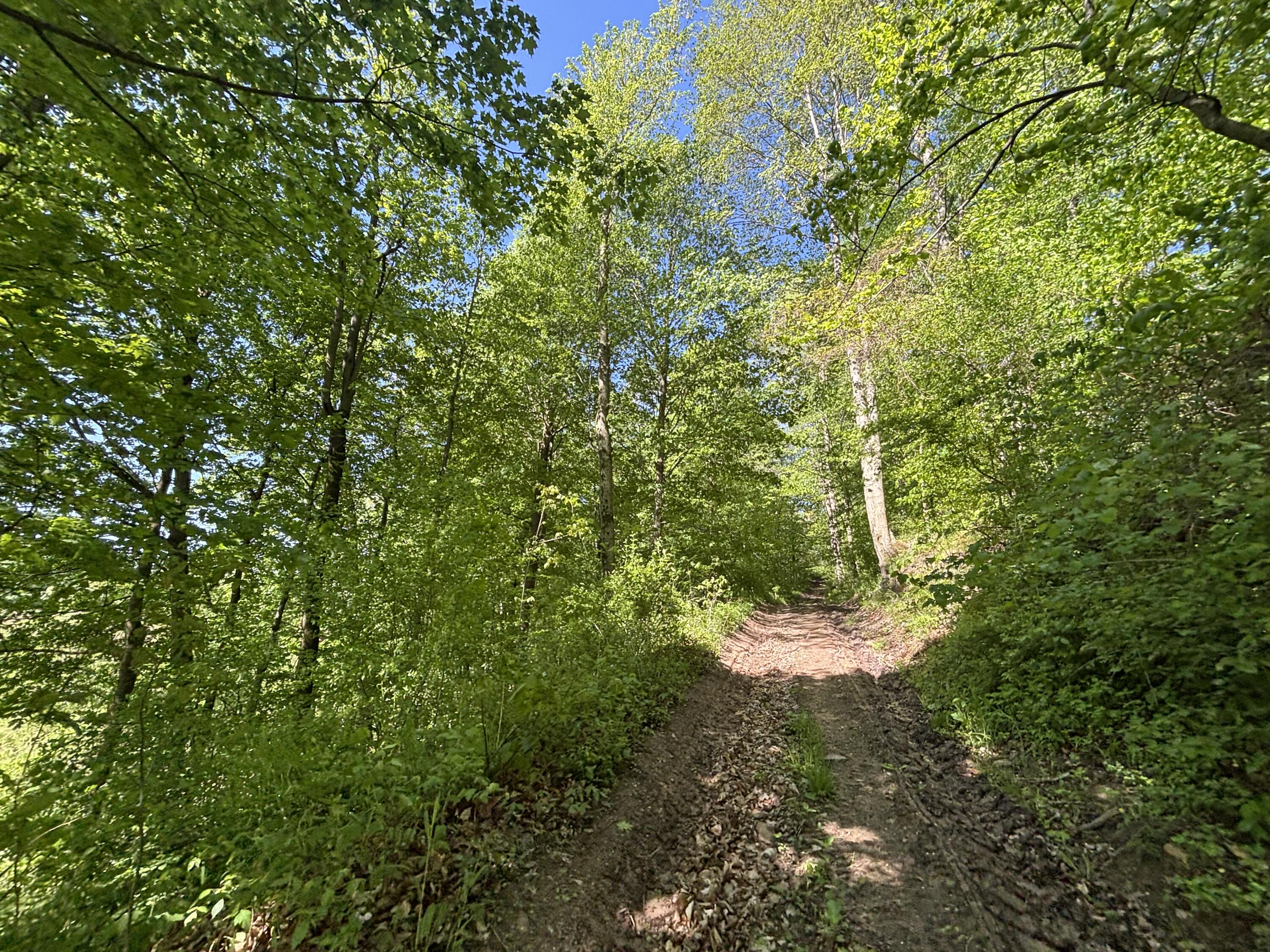 3396 Dagen Road Twin Lake, MI 49457 - Photo 41 of 56 TIMG_6985