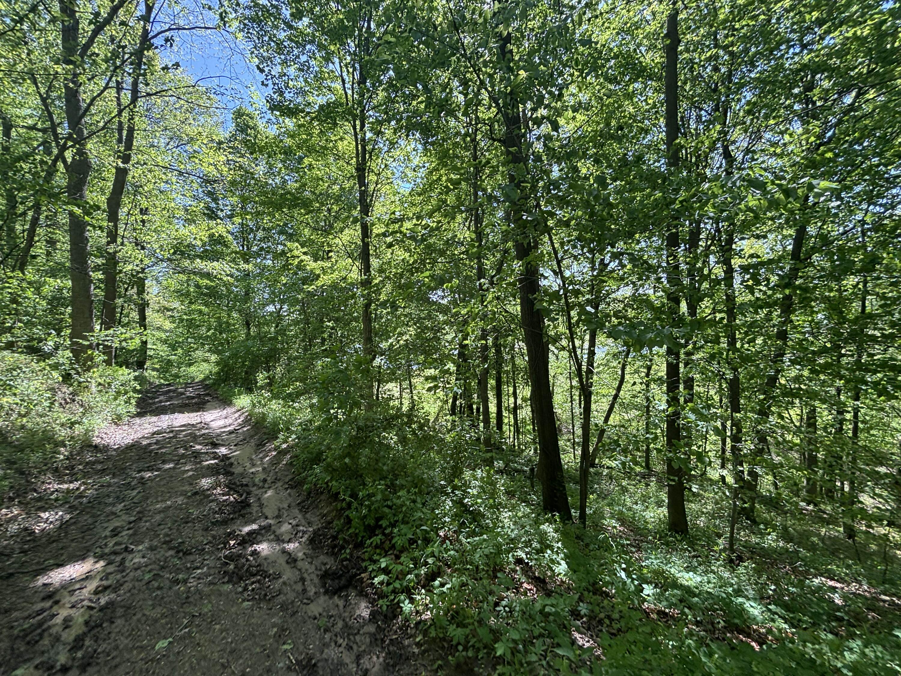 3396 Dagen Road Twin Lake, MI 49457 - Photo 48 of 56 TIMG_7018