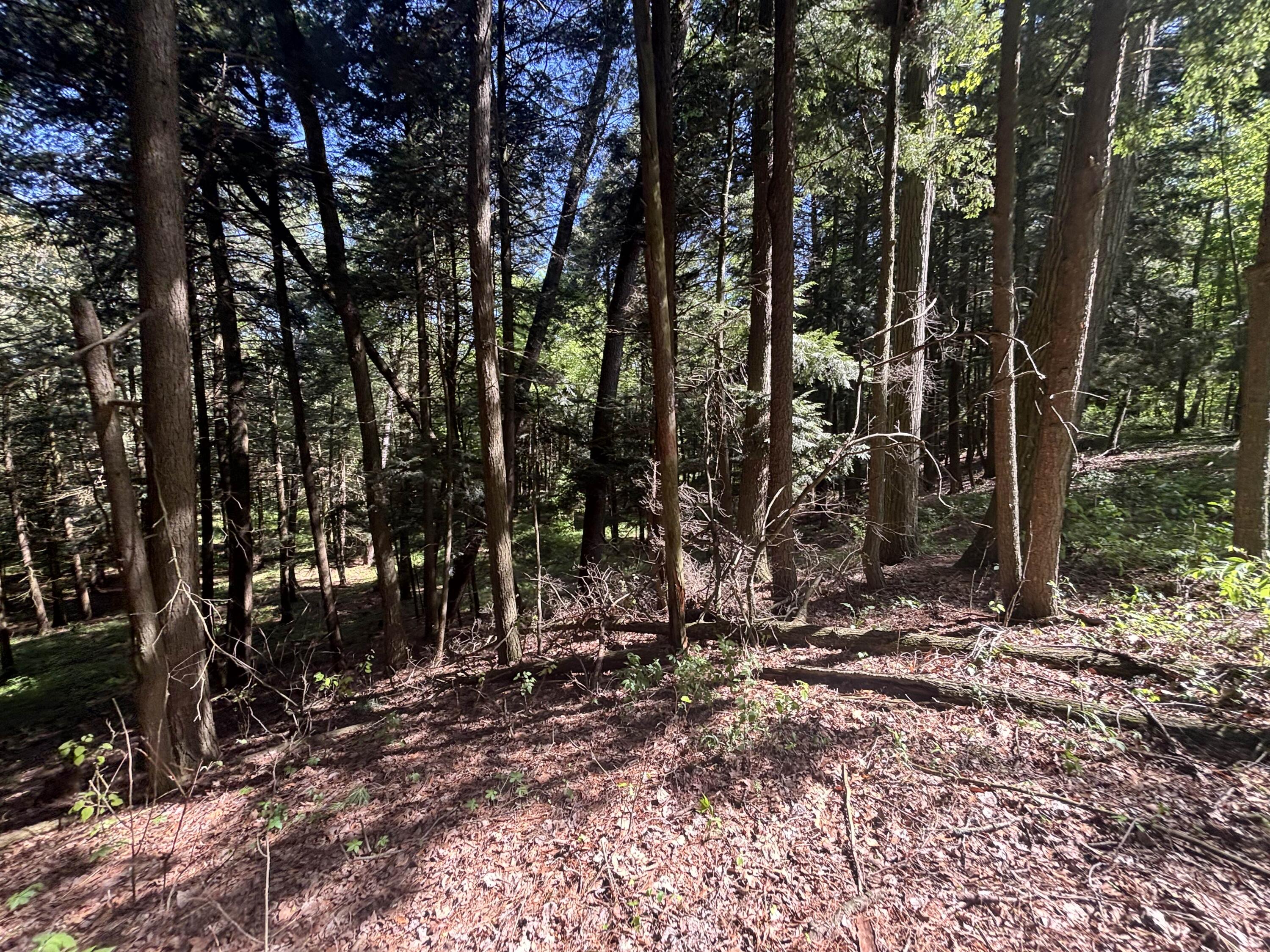 3396 Dagen Road Twin Lake, MI 49457 - Photo 53 of 56 TIMG_7040