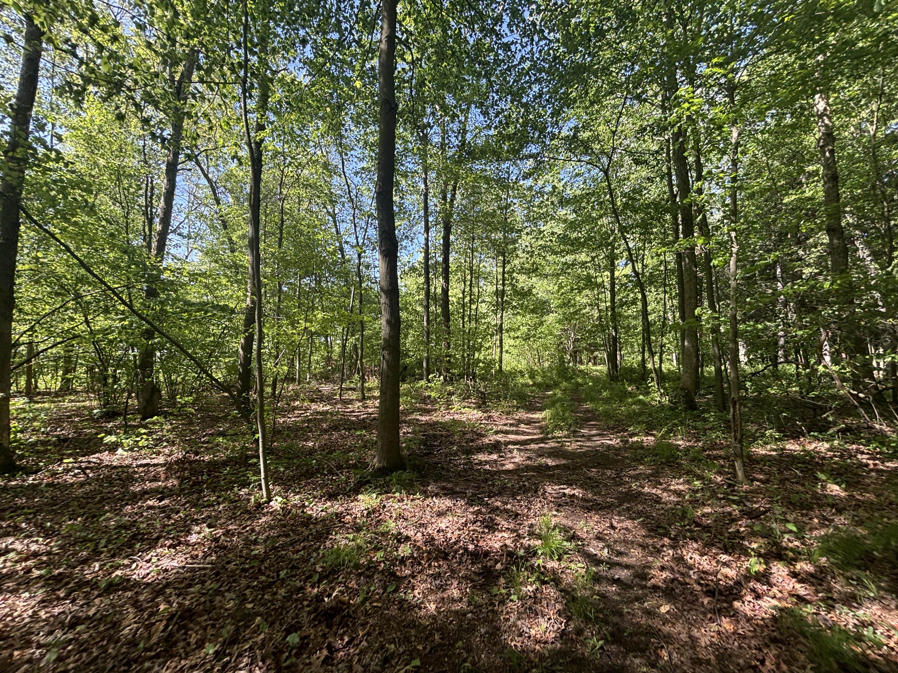 3396 Dagen Road Twin Lake, MI 49457 - Photo 54 of 56 TIMG_7046