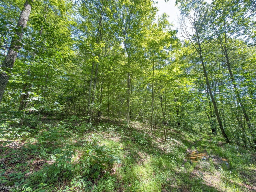 0 Twp Road Marietta, OH 45750 - Photo 28 of 50