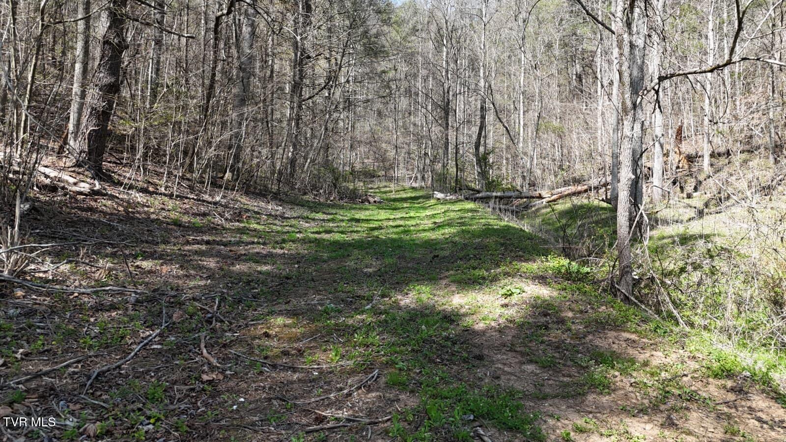 1770 Old 15th Road Del Rio, TN 37727 - Photo 11 of 31 WhatsApp Image 2026-03-31 at 8.24.02 PM