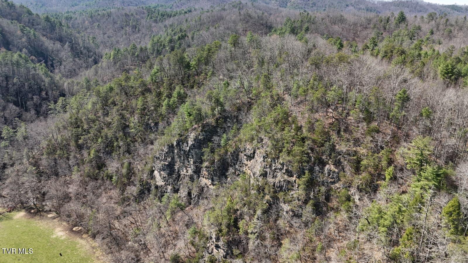 1770 Old 15th Road Del Rio, TN 37727 - Photo 13 of 31 WhatsApp Image 2026-03-31 at 8.23.16 PM