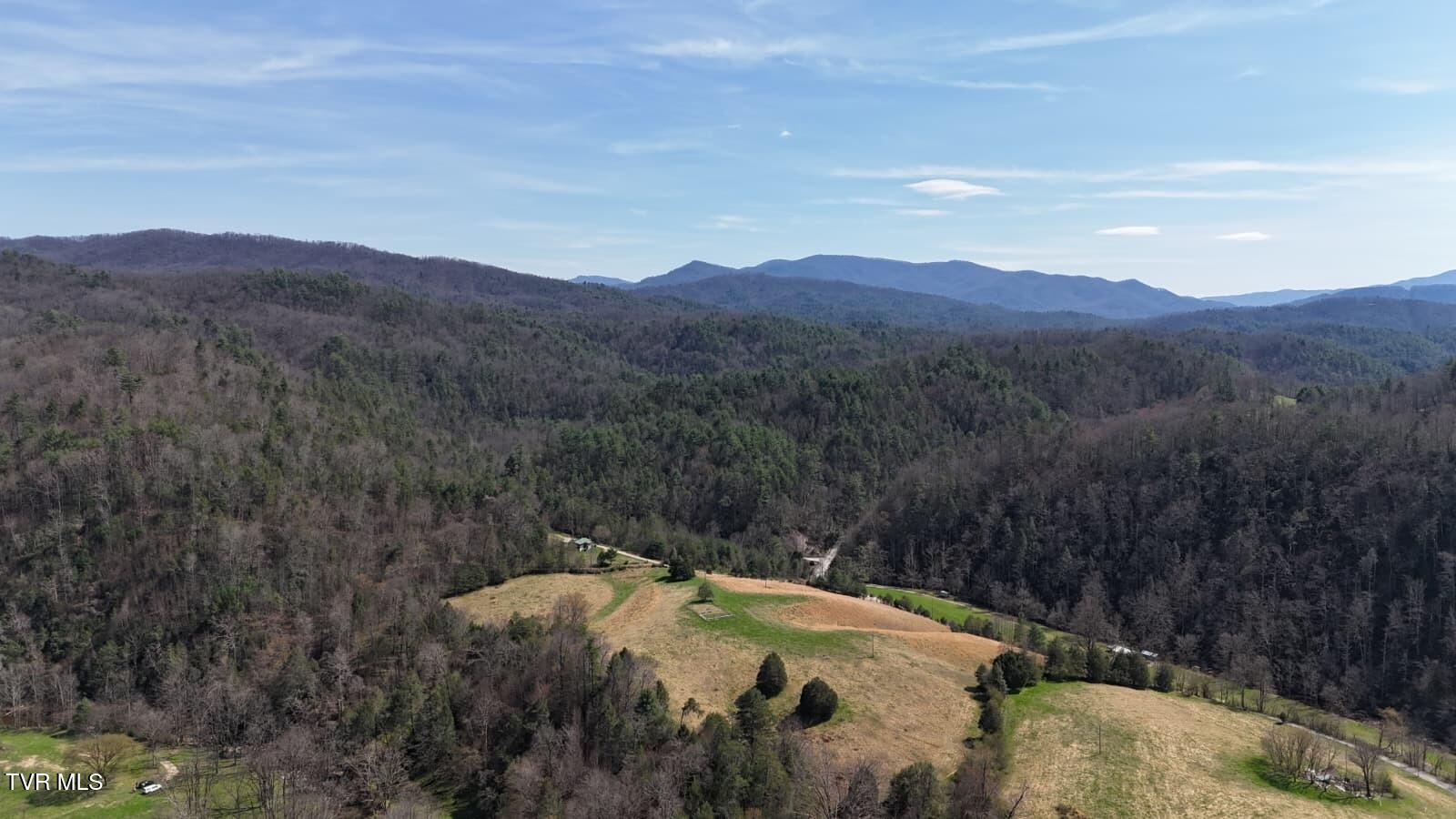1770 Old 15th Road Del Rio, TN 37727 - Photo 21 of 31 WhatsApp Image 2026-03-31 at 8.23.20 PM