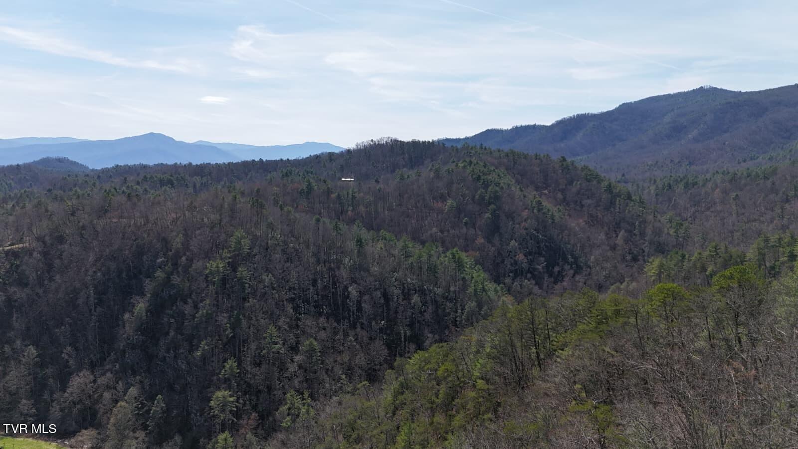 1770 Old 15th Road Del Rio, TN 37727 - Photo 22 of 31 WhatsApp Image 2026-03-31 at 8.24.00 PM