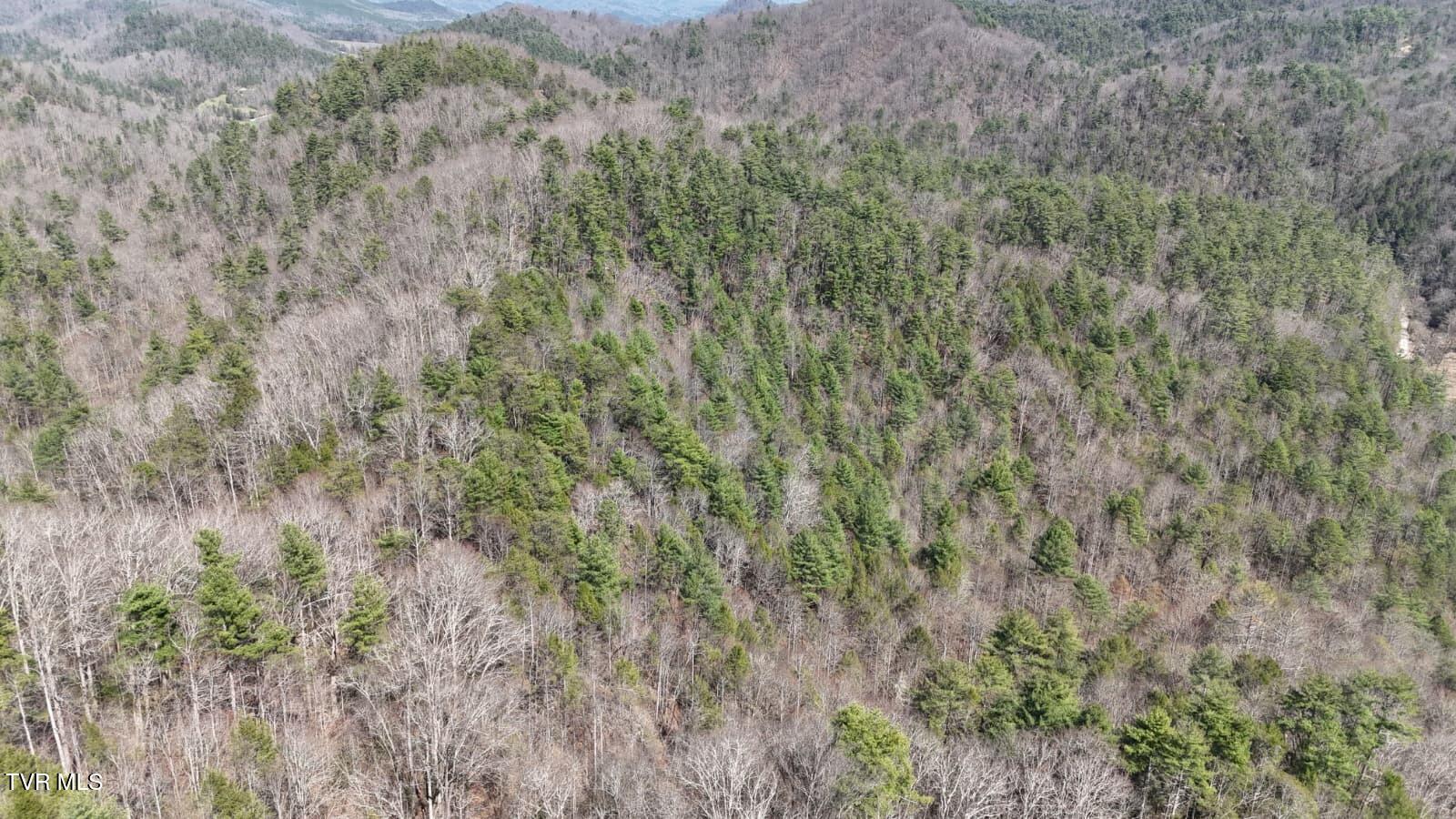 1770 Old 15th Road Del Rio, TN 37727 - Photo 24 of 31 WhatsApp Image 2026-03-31 at 8.24.00 PM