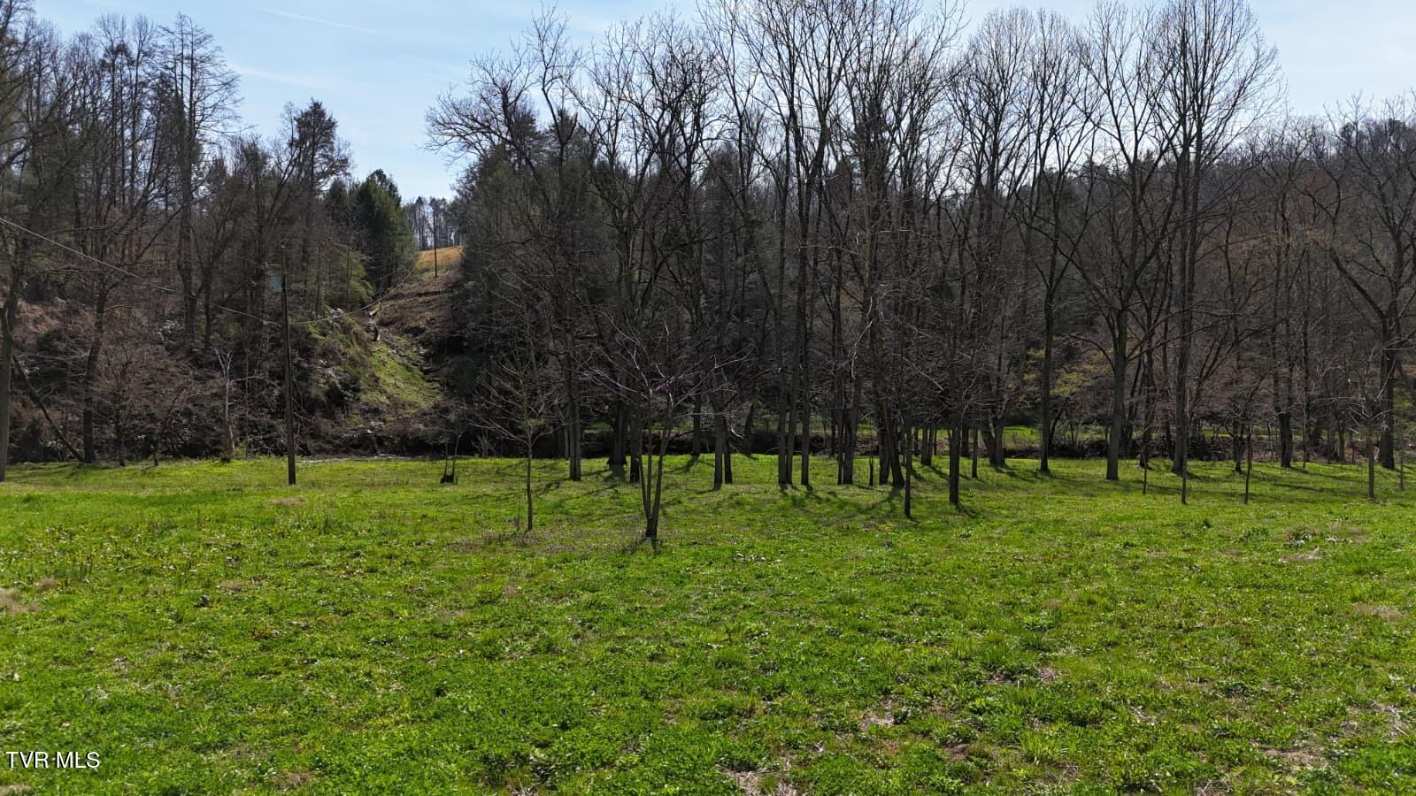1770 Old 15th Road Del Rio, TN 37727 - Photo 4 of 31 WhatsApp Image 2026-03-31 at 8.24.01 PM