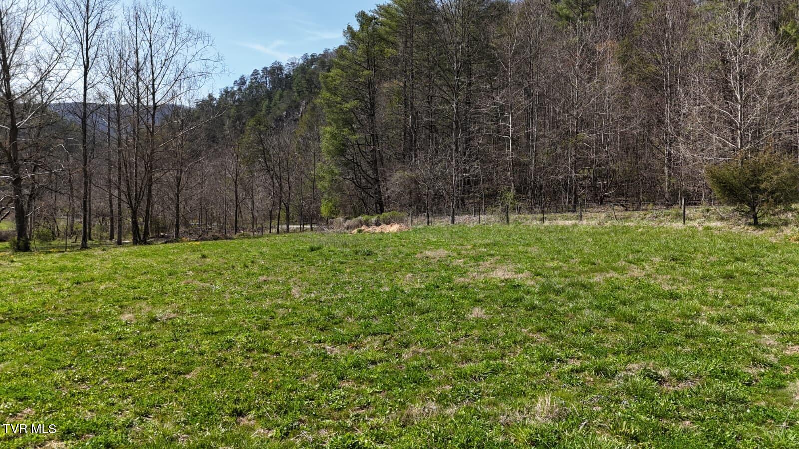 1770 Old 15th Road Del Rio, TN 37727 - Photo 5 of 31 WhatsApp Image 2026-03-31 at 8.24.02 PM
