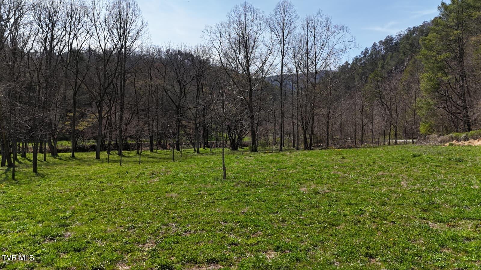 1770 Old 15th Road Del Rio, TN 37727 - Photo 7 of 31 WhatsApp Image 2026-03-31 at 8.24.02 PM