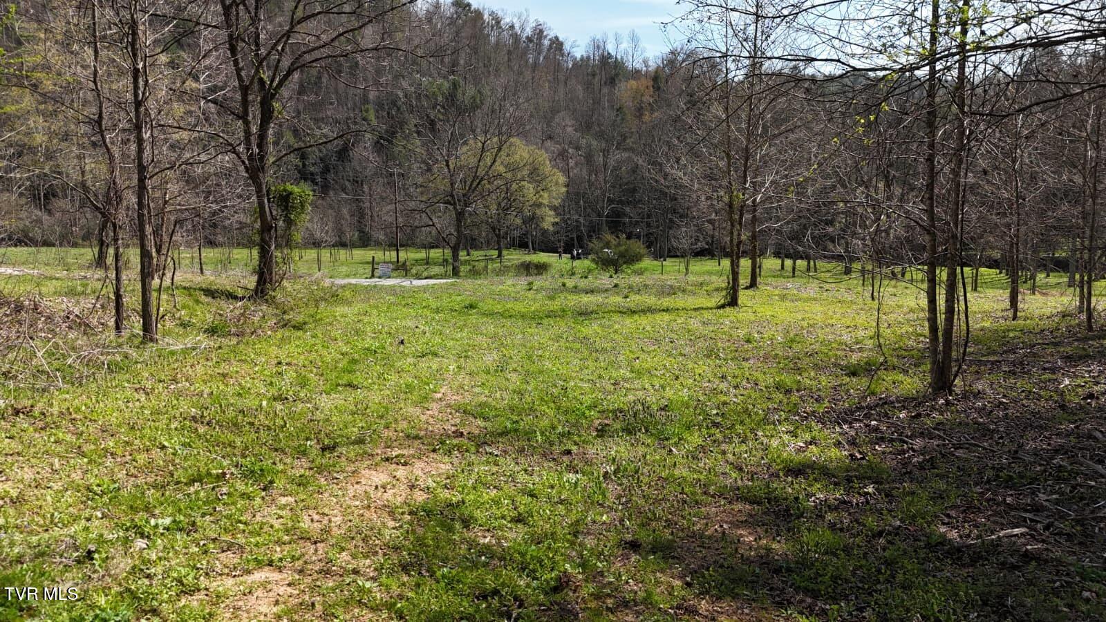 1770 Old 15th Road Del Rio, TN 37727 - Photo 8 of 31 WhatsApp Image 2026-03-31 at 8.24.03 PM
