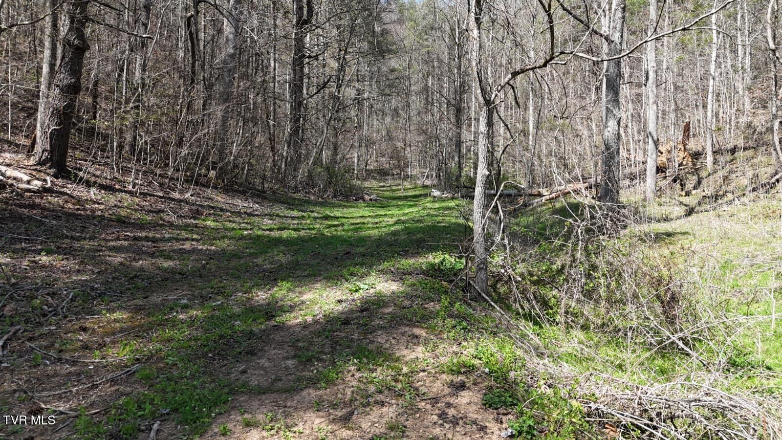 1770 Old 15th Road Del Rio, TN 37727 - Photo 10 of 31 WhatsApp Image 2026-03-31 at 8.24.02 PM