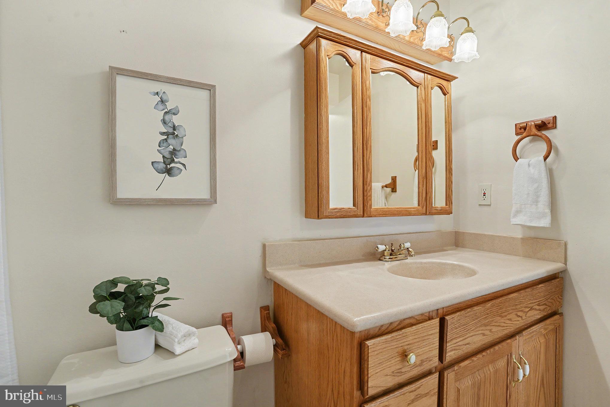 7114 Oliver Beach Road Baltimore, MD 21220 - Photo 22 of 49 a bathroom with a sink and a mirror