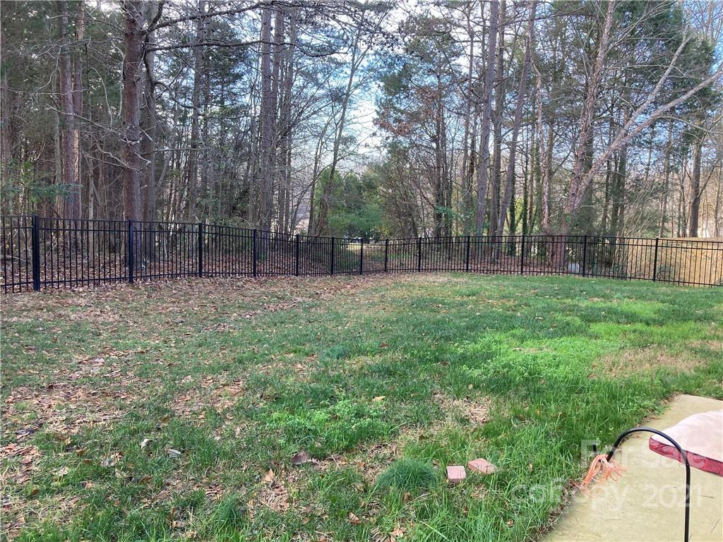 13824 Hastings Farm Road Huntersville, NC 28078 - Photo 14 of 14 a backyard of a house with lots of green space