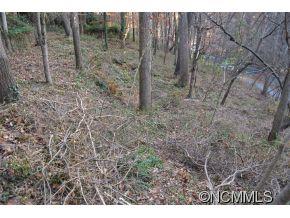 41 Pickwick Road, Unit 3B Asheville, NC 28803 - Photo 5 of 12 Gallery Image 5