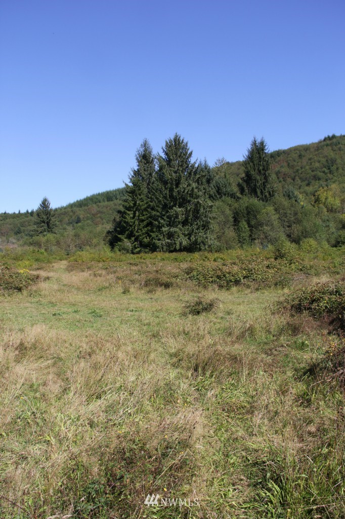 -19xx North River Road Cosmopolis, WA 98537 - Photo 5 of 7 Gallery Image 5