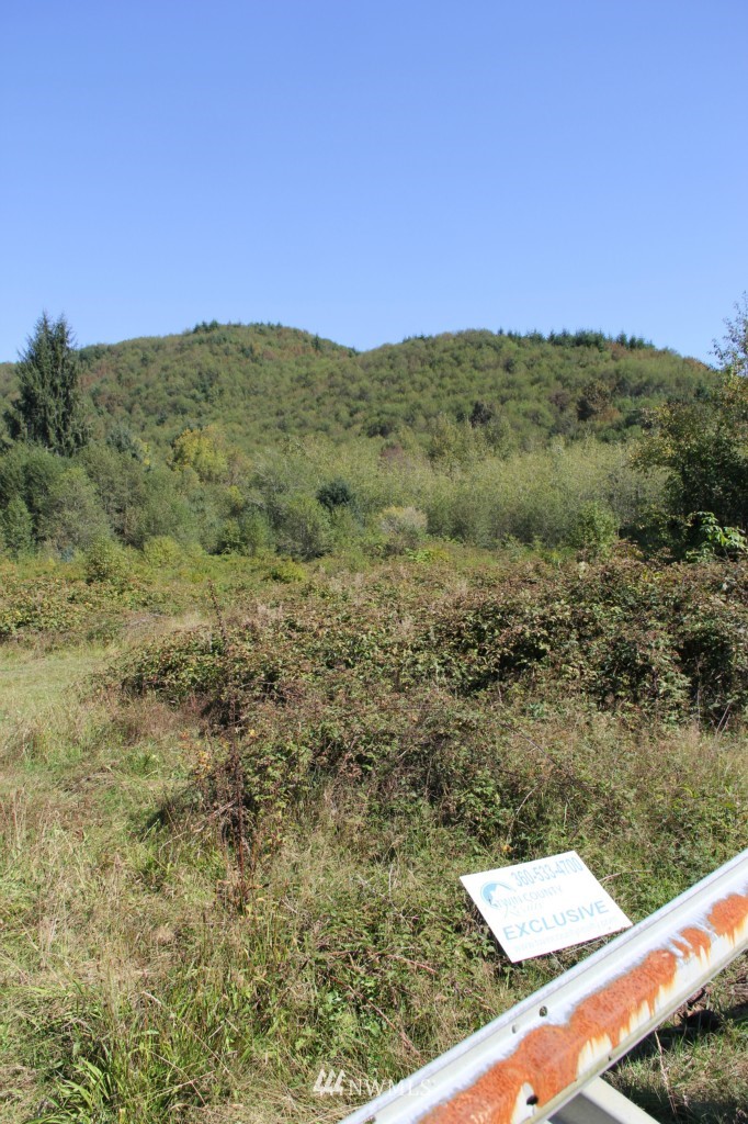 -19xx North River Road Cosmopolis, WA 98537 - Photo 6 of 7 Gallery Image 6
