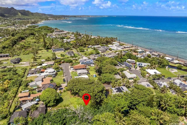 a view of a yard with plants and large trees