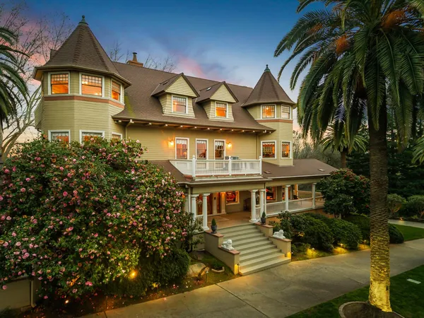 a view of a park with a palm plants
