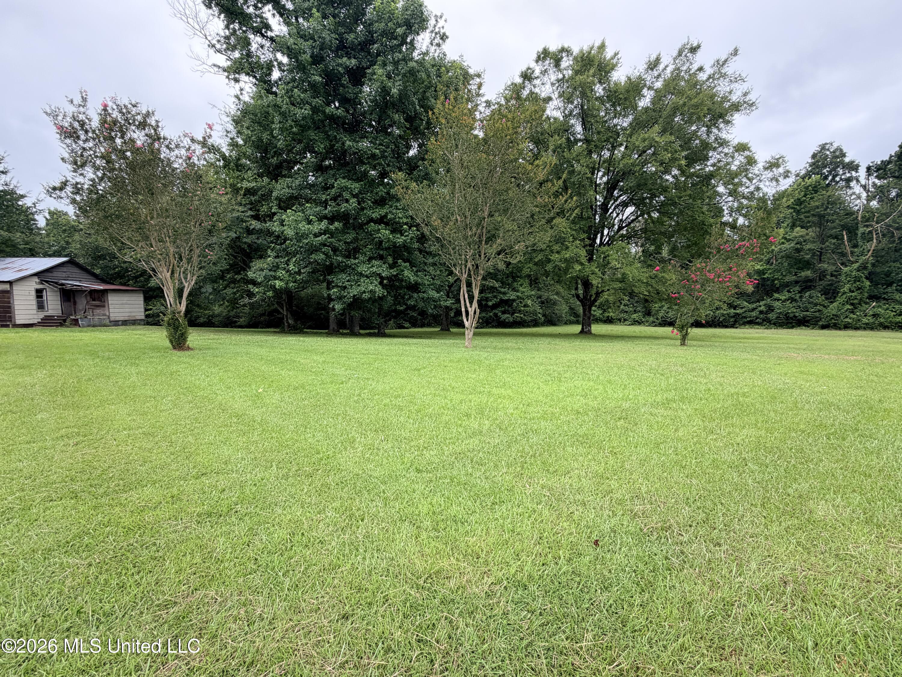 1117 Montgomery Lane Wesson, MS 39191 - Photo 18 of 62 IMG_6694