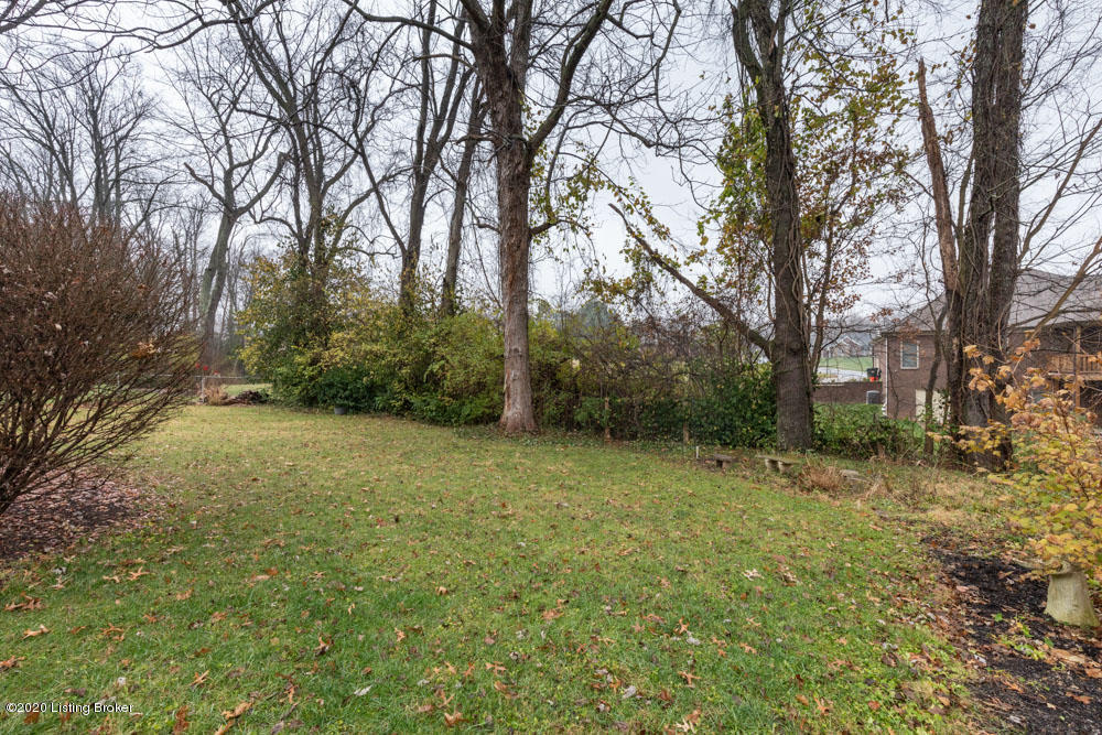 9206 Collingwood Road Jeffersontown, KY 40299 - Photo 53 of 54 Backyard area