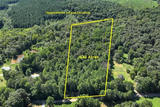 a view of a yard and trees