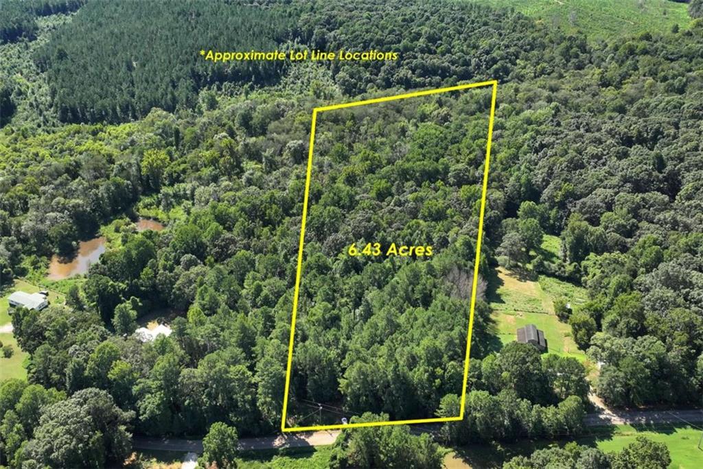 a view of a yard and trees