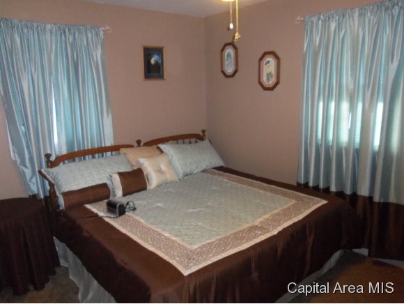 1912 South Pasfield Street Springfield, IL 62704 - Photo 7 of 19