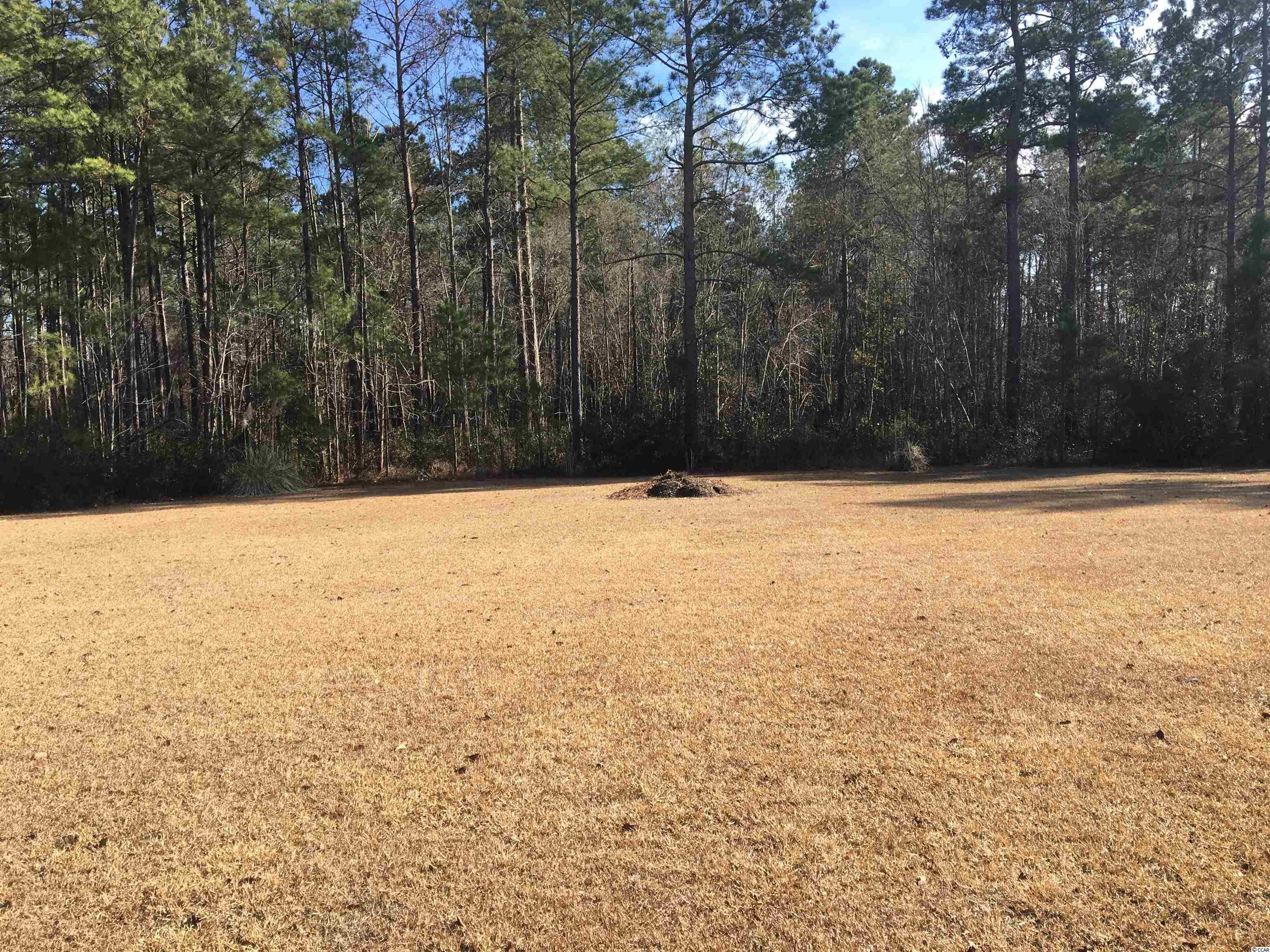 572 South Deep Wood Road Johnsonville, SC 29555 - Photo 5 of 34