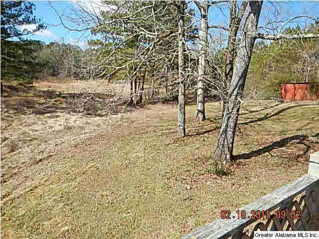 560 Gardner Road Jasper, AL 35501 - Photo 2 of 20