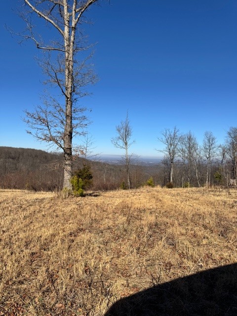 0 Box House Road Belvidere, TN 37306 - Photo 9 of 18 a view of a dirt pathway