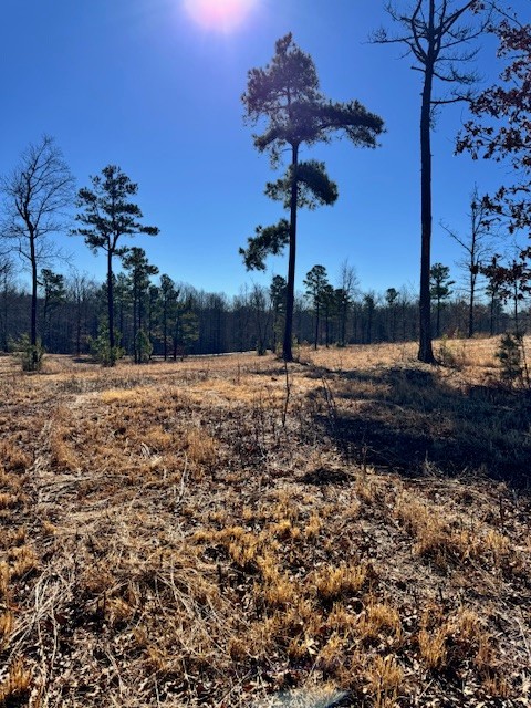 0 Box House Road Belvidere, TN 37306 - Photo 10 of 18 a view of a pathway with a yard