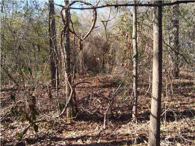 24 Highway Ac Al, Unit 10 13 Springville, AL 35146 - Photo 2 of 6
