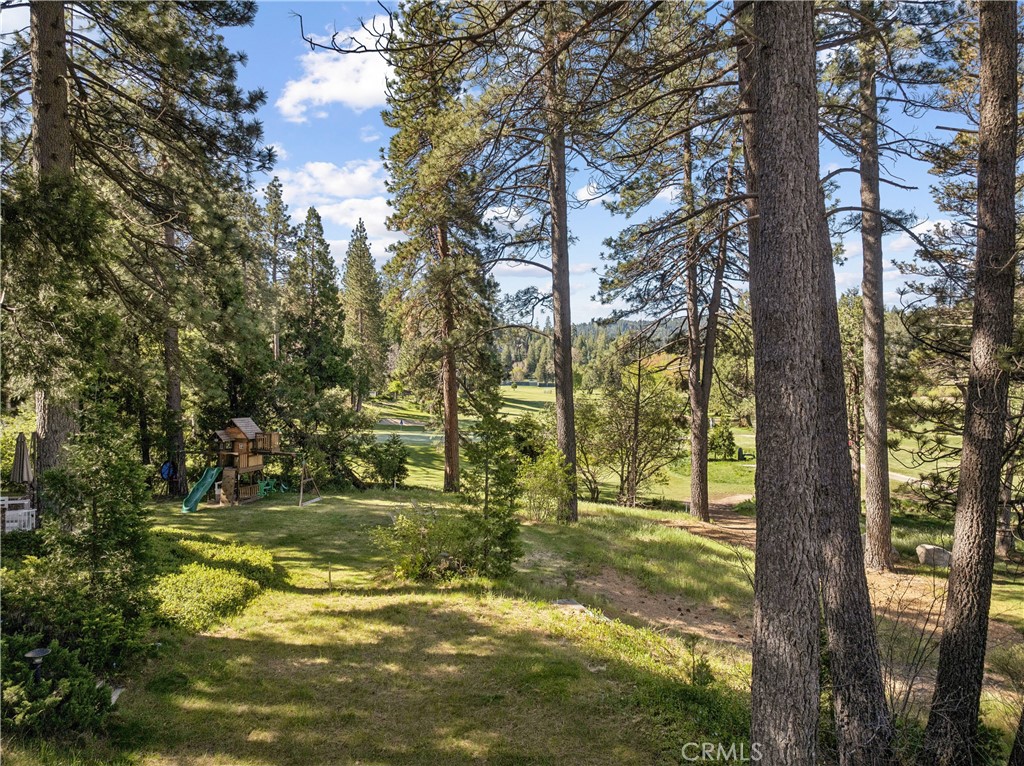 524 Golf Course Road Lake Arrowhead, CA 92352 - Photo 57 of 71