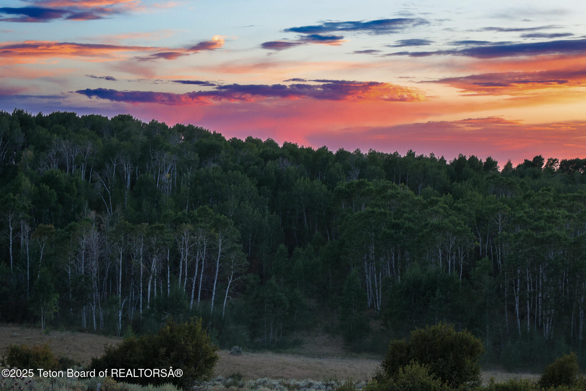 Long Hollow Road Newdale, ID 83436 - Photo 11 of 30 1M0A0632