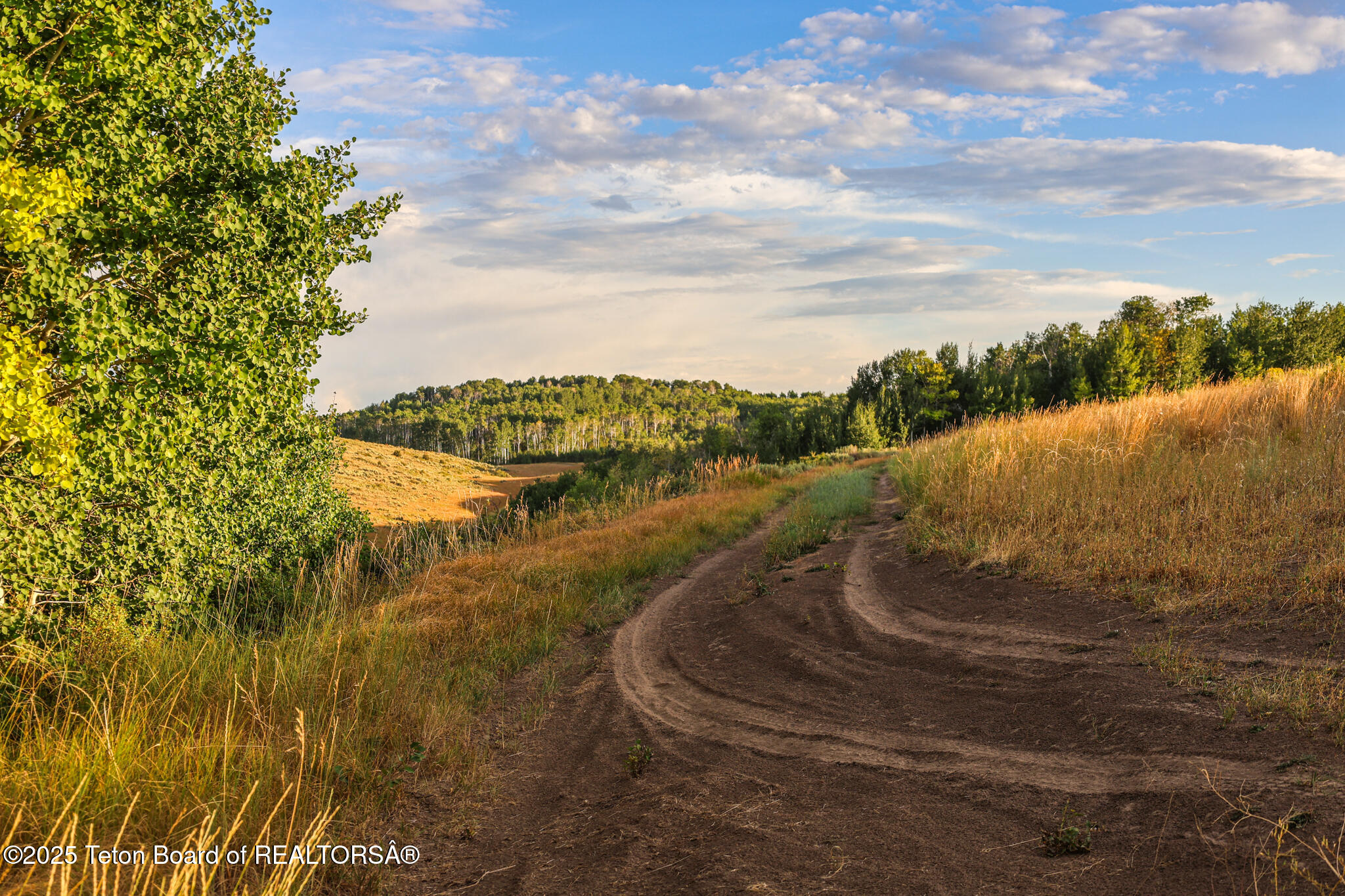 Long Hollow Road Newdale, ID 83436 - Photo 19 of 30 1M0A0613
