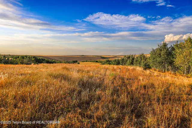 $2,475,000 | Long Hollow Road, Newdale, ID 83436