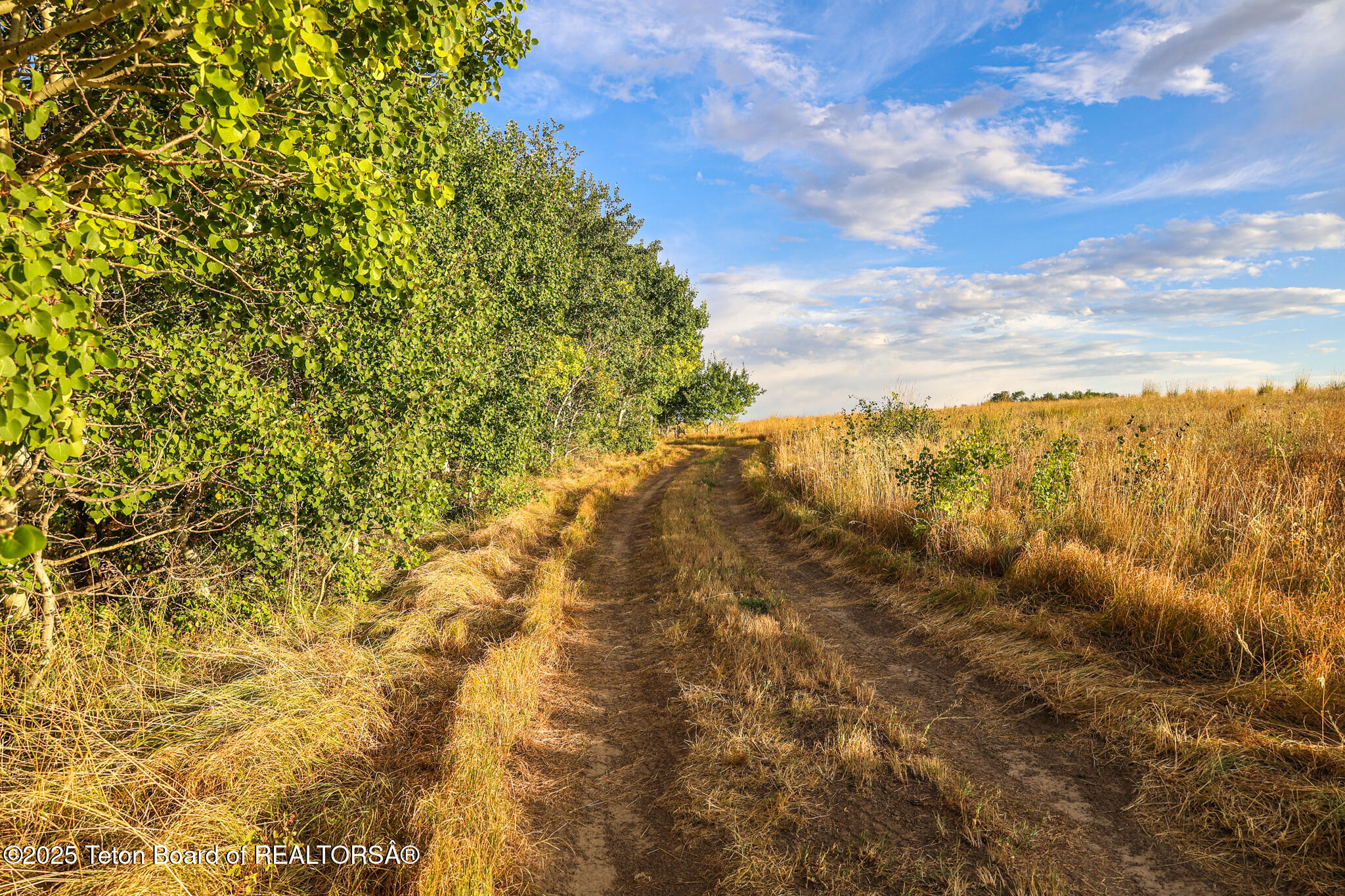Long Hollow Road Newdale, ID 83436 - Photo 7 of 30 1M0A0612